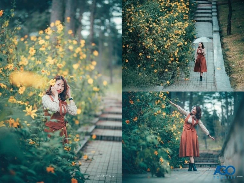 7 địa điểm ngắm hoa dã quỳ Đà Lạt đẹp nhất năm 2024