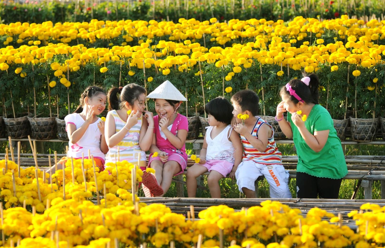 Du lịch Miền Tây 4 Ngày 3 Đêm từ TP Hồ Chí Minh