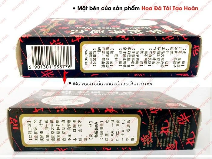 Hoa đà tái tạo hoàn Trung Quốc Phục hồi di chứng sau đột quỵ