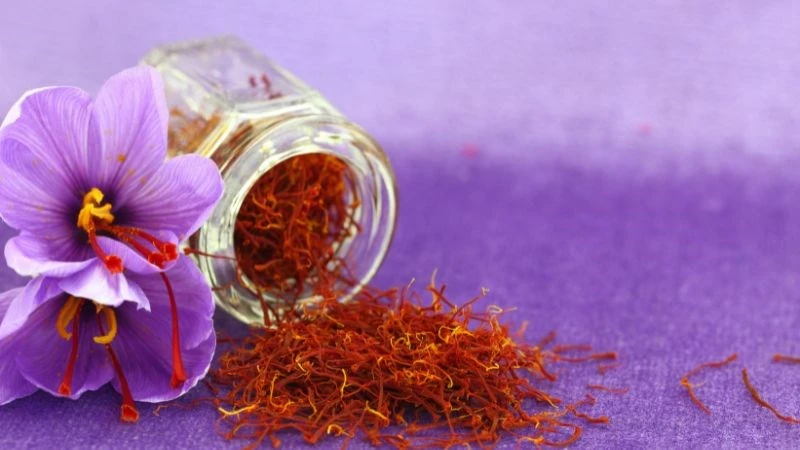 Cách uống nhụy hoa nghệ tây để tăng cường sức khỏe