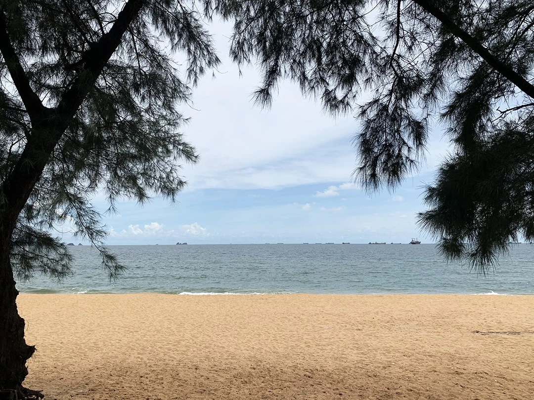 Review Bãi Đông Thanh Hóa - Điểm “hot rần rần” hiện nay tại vùng Bắc Trung Bộ