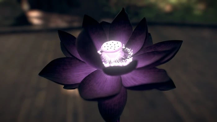 Hình nền hoa sen đen 3D