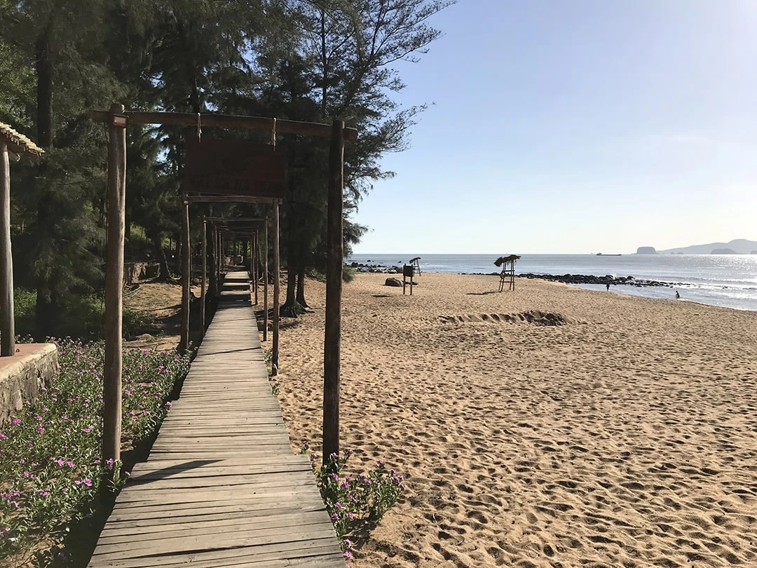 Review Bãi Đông Thanh Hóa - Điểm “hot rần rần” hiện nay tại vùng Bắc Trung Bộ