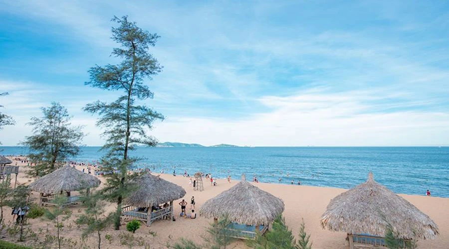 Review Bãi Đông Thanh Hóa - Điểm “hot rần rần” hiện nay tại vùng Bắc Trung Bộ
