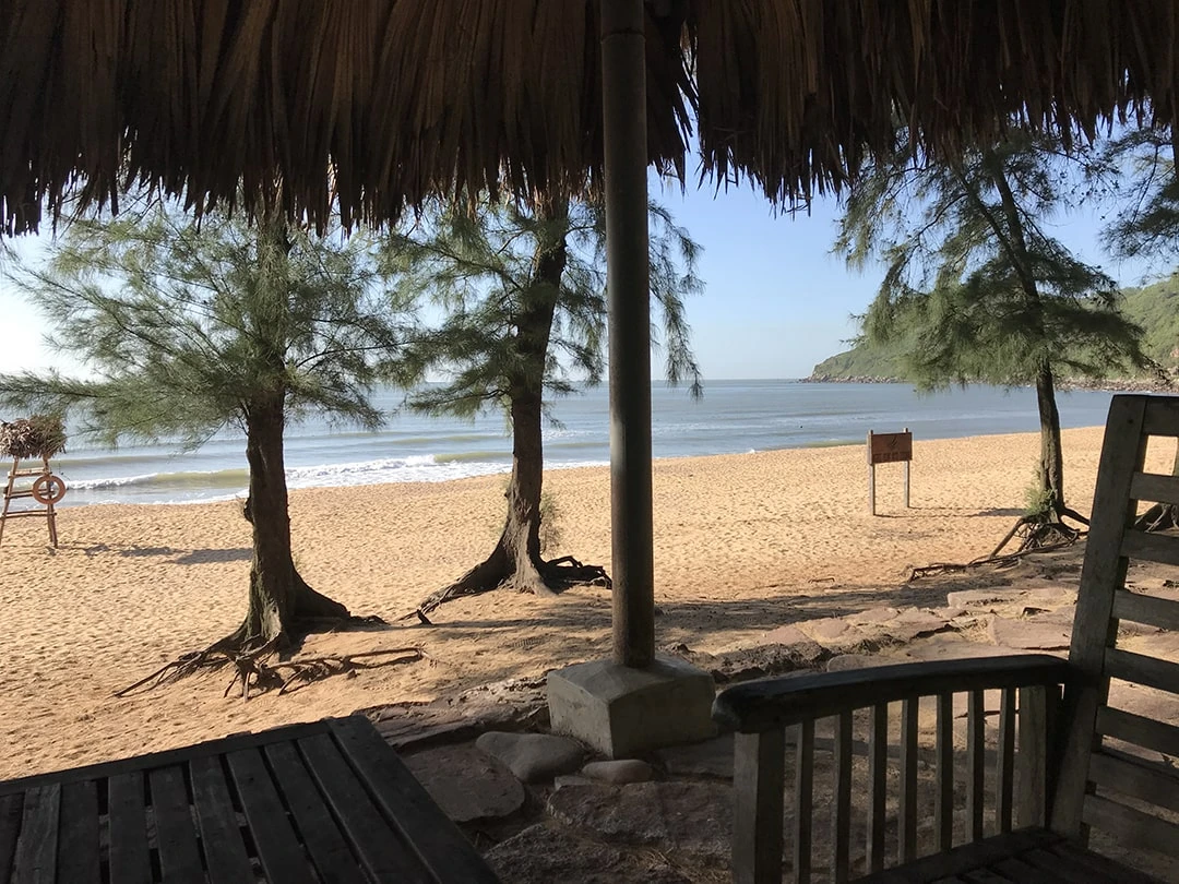 Review Bãi Đông Thanh Hóa - Điểm “hot rần rần” hiện nay tại vùng Bắc Trung Bộ