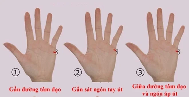 Xem đường chỉ tay, có điểm này biết ngay ai 2 lần