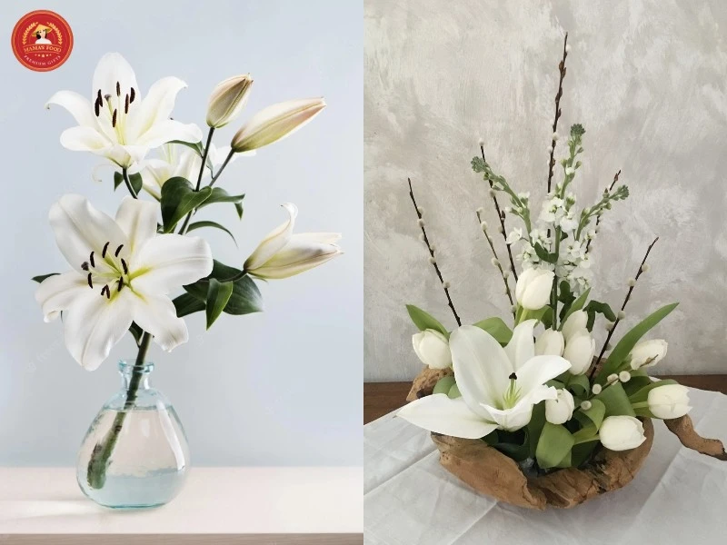 10+ cách cắm hoa ly ngày Tết tươi lâu, bền màu để đón lộc vào nhà