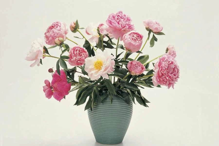 Top 4 Cách Cắm Hoa Để Bàn Đẹp Lung Linh, Phù Hợp Mọi Không Gian