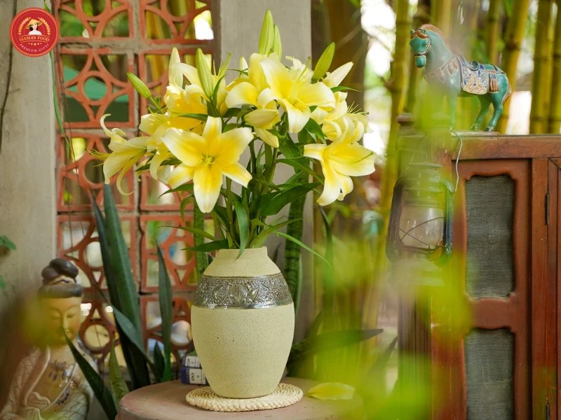 Cách cắm hoa ly đẹp ý nghĩa ngày Tết