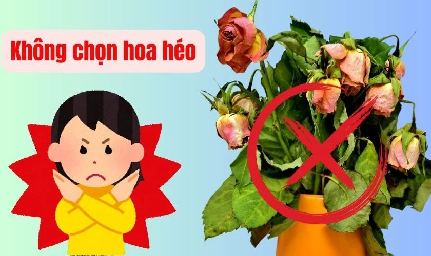 15 loại hoa chưng Tết thu hút may mắn và tài lộc 2025