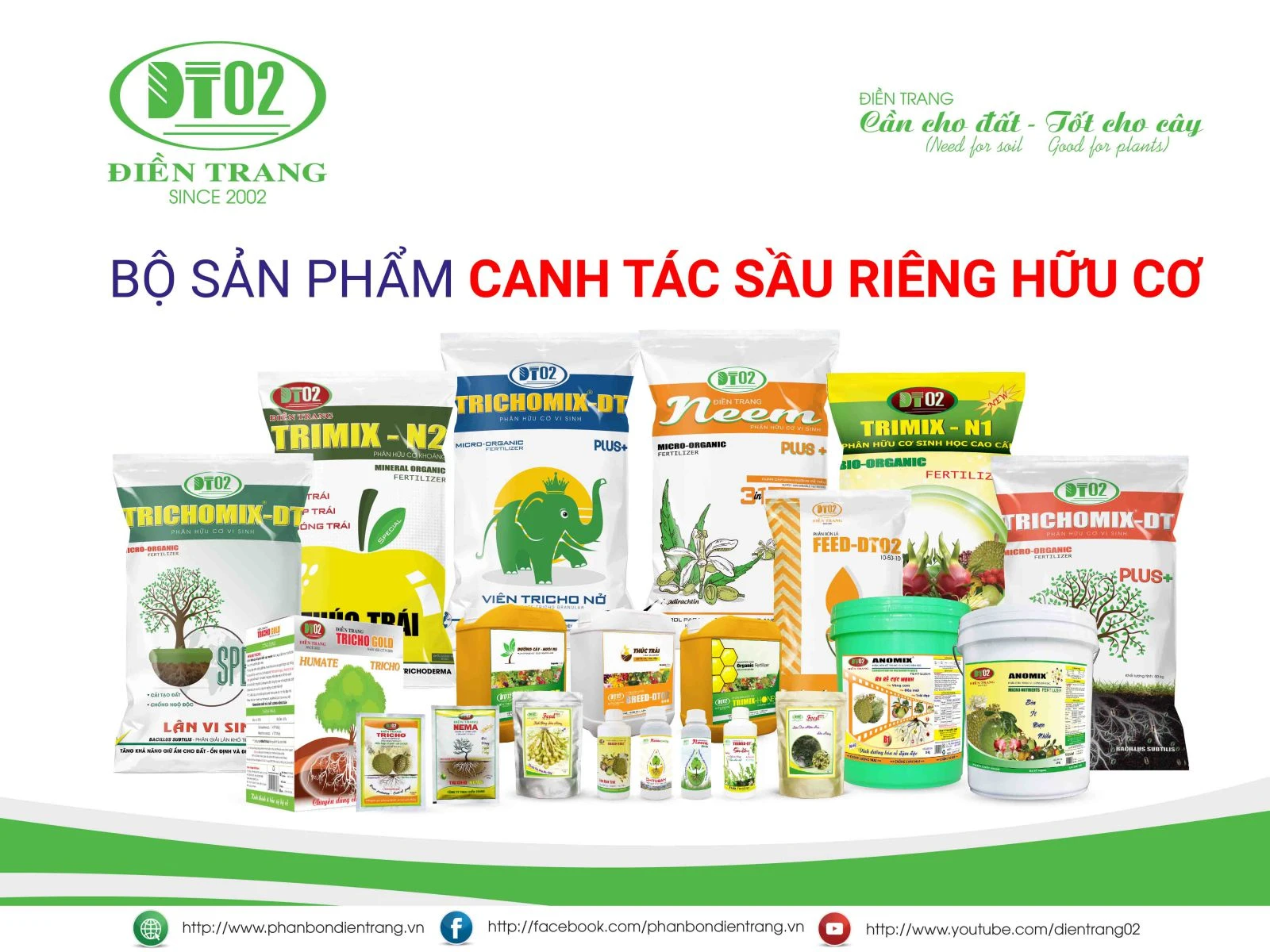 THỤ PHẤN VÀ CHĂM SÓC CÂY SẦU RIÊNG GIAI ĐOẠN NUÔI TRÁI