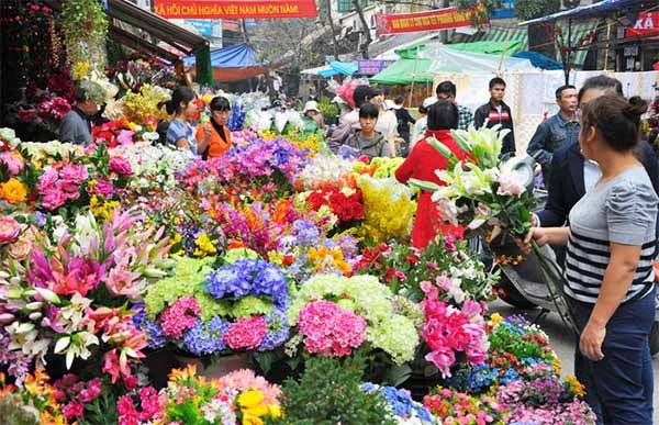 Top 10 các loại hoa Tết cực may mắn nên có trong nhà