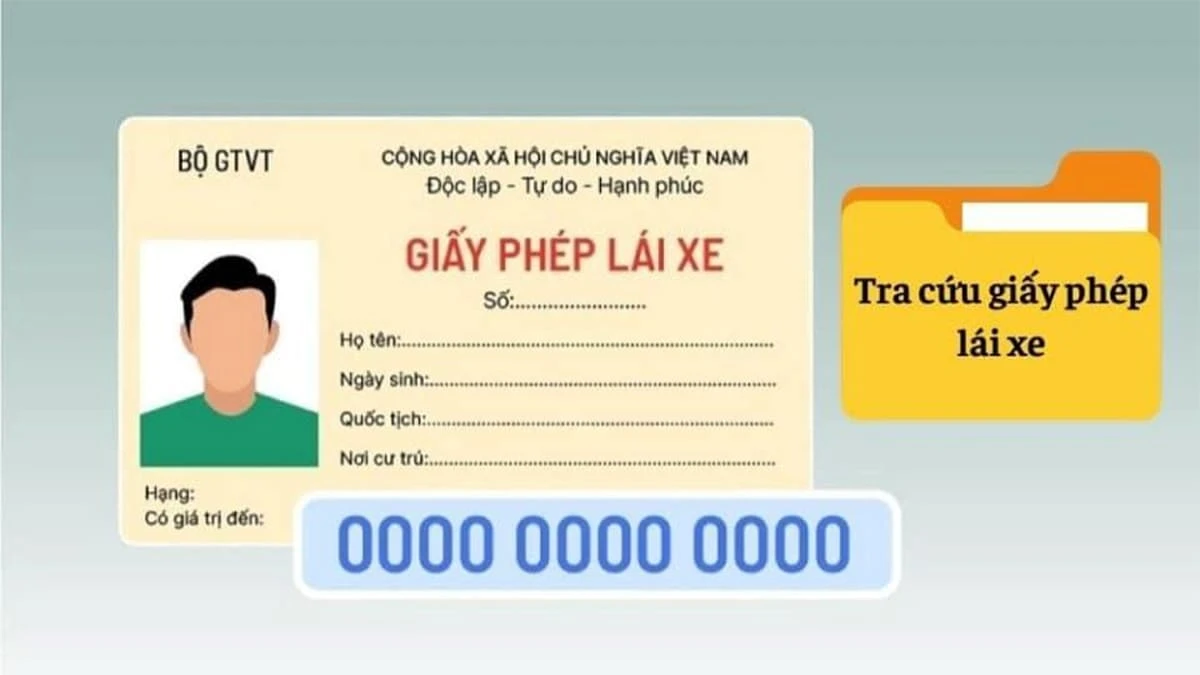 Tổng hợp 4 cách tra cứu giấy phép lái xe theo tên, biển số dễ dàng