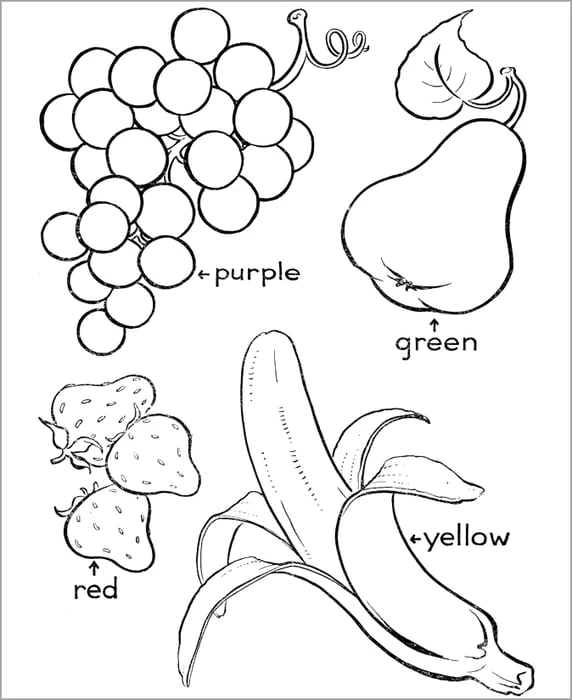Tranh tô màu về trái cây và hoa quả