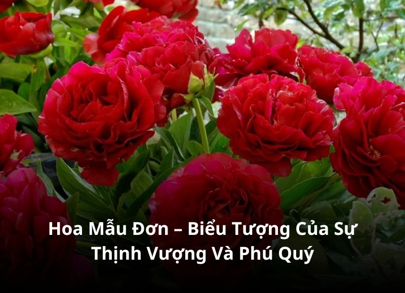 10 loại hoa phù hợp cho cắm hoa bàn thờ gia tiên ngày cưới