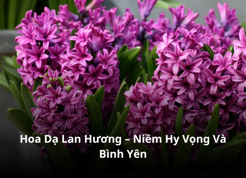 10 loại hoa phù hợp cho cắm hoa bàn thờ gia tiên ngày cưới