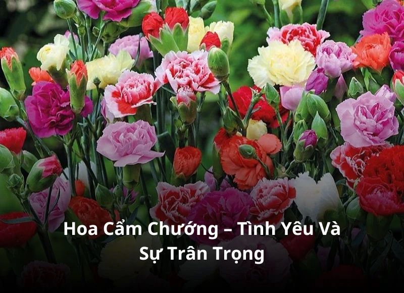 10 loại hoa phù hợp cho cắm hoa bàn thờ gia tiên ngày cưới