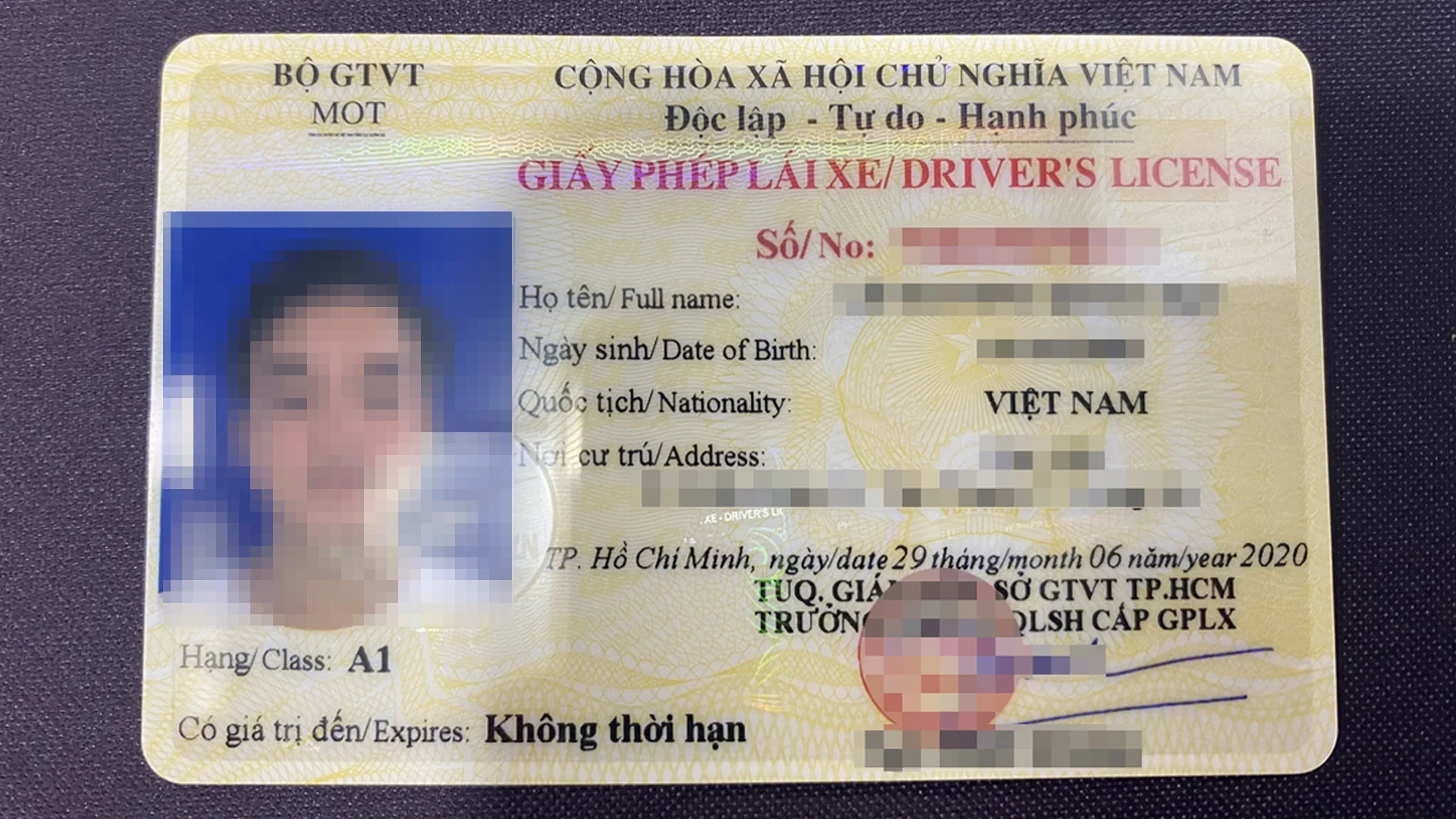 Bằng lái xe có màu gì?