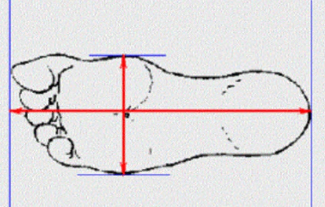 Hướng dẫn chọn size giày chuẩn với mọi đôi chân