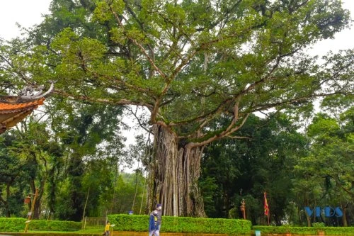 Thăm cố đô Lam Kinh dịp đầu năm