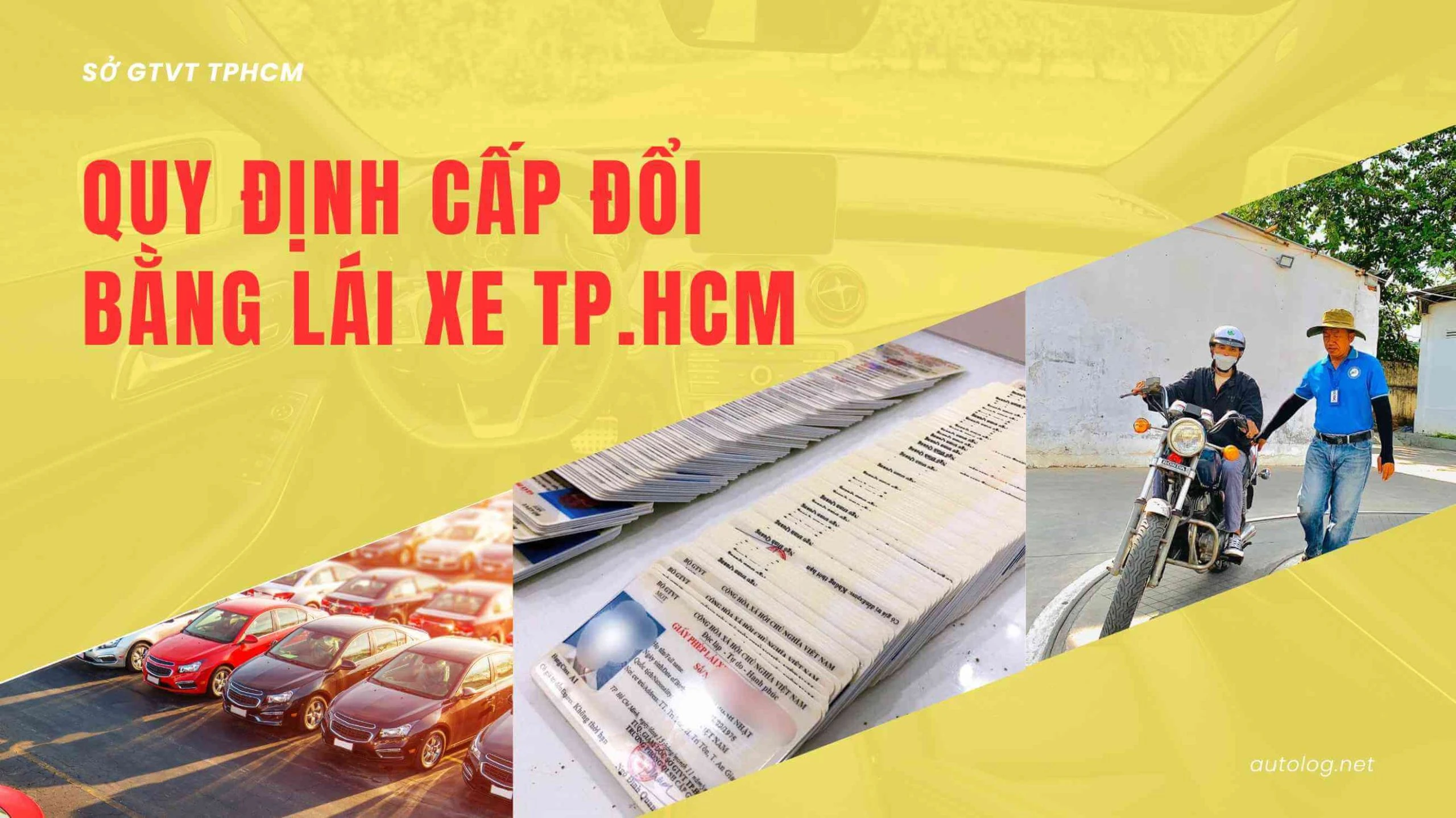 Tổng Hợp Thông Tin Về Cấp Đổi Bằng Lái Xe Tại HCM