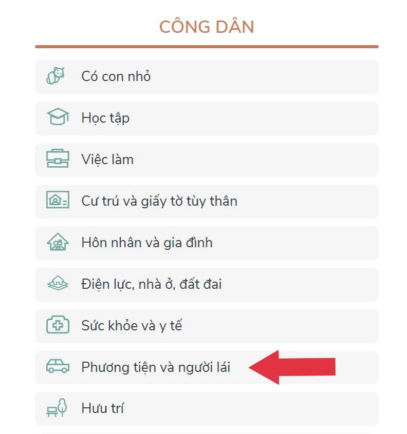 Tổng Hợp Thông Tin Về Cấp Đổi Bằng Lái Xe Tại HCM