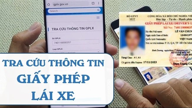 Không nhớ số giấy phép lái xe tra cứu như thế nào?