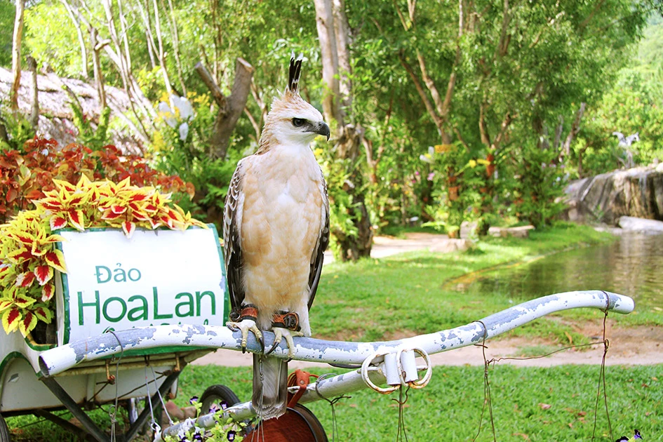 Đảo Hoa Lan kỳ thú - Long Phú Tourist - Công ty lữ hành chuyên nghiệp.