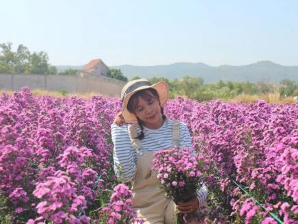 Thảo nguyên hoa Long Biên - Địa điểm mệnh danh “trời âu ở Hà Nội” 