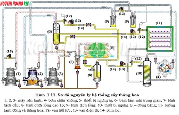 Sấy thăng hoa là gì? Nguyên lý hoạt động, ứng dụng như thế nào?