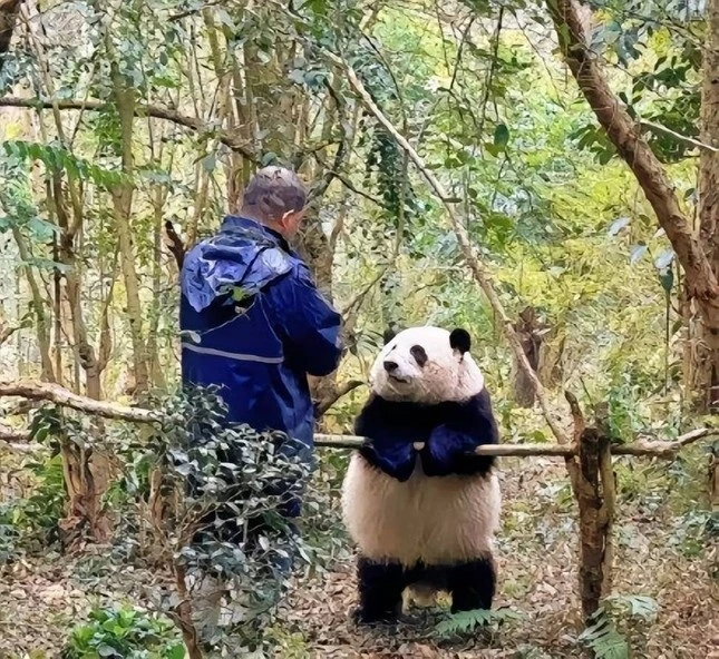 Vụ