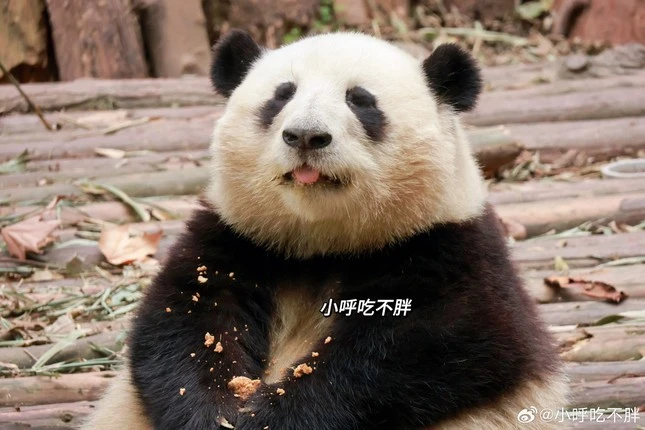 Vụ