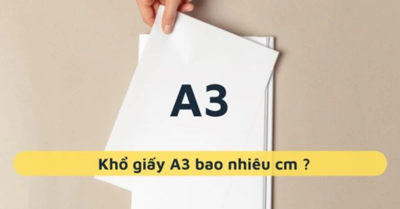 Khổ giấy a3 là bao nhiêu cm? Cách chọn khổ giấy A3 trong Excel