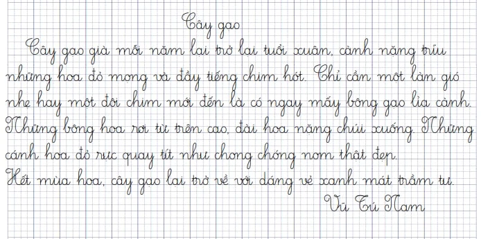 Mẫu giấy hoa thi viết chữ đẹp (30 mẫu)