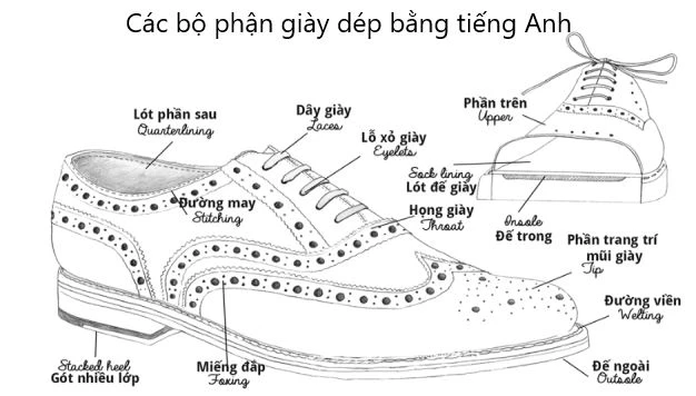 Từ vựng chủ đề: Giày dép tiếng Anh [kèm Phiên âm và Audio]