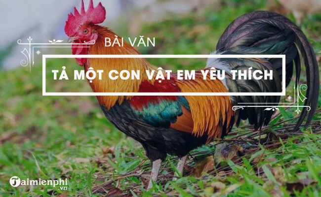 Văn mẫu tả một con vật mà em yêu thích, ngắn gọn, hay nhất