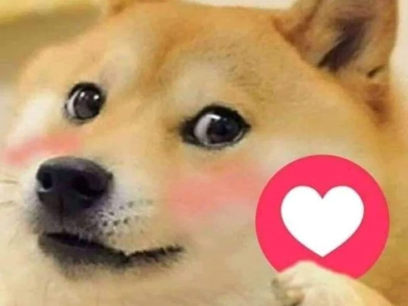 Tổng hợp meme tình yêu cute, dễ thương cho các cặp đôi