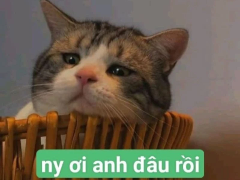 Tổng hợp meme tình yêu cute, dễ thương cho các cặp đôi