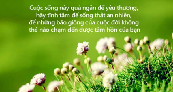 Những câu nói hay về tình yêu thương chia sẻ trong cuộc sống