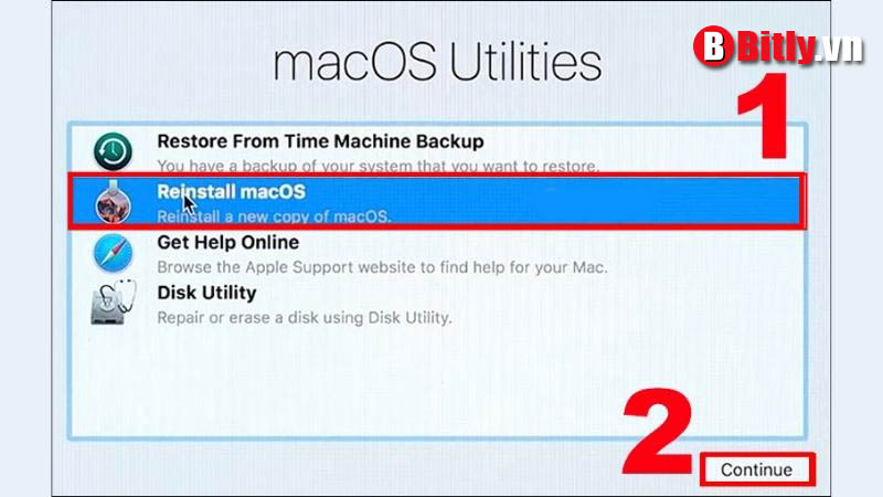 Chọn Reinstall macOS rồi nhấn Continue